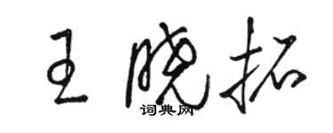 駱恆光王曉拓草書個性簽名怎么寫