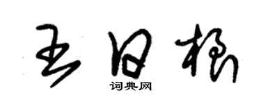 朱錫榮王日根草書個性簽名怎么寫