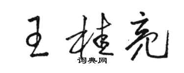 駱恆光王桂亮草書個性簽名怎么寫