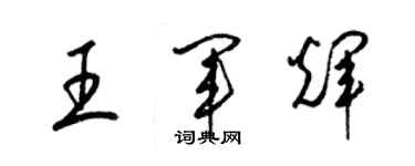 梁錦英王軍輝草書個性簽名怎么寫