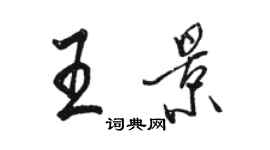 駱恆光王景行書個性簽名怎么寫