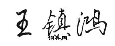 駱恆光王鎮鴻行書個性簽名怎么寫