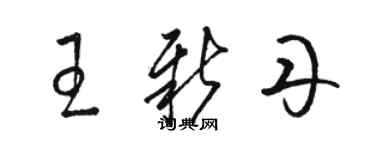 駱恆光王新丹草書個性簽名怎么寫
