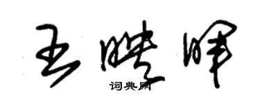 朱錫榮王映暉草書個性簽名怎么寫