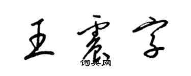 梁錦英王震字草書個性簽名怎么寫