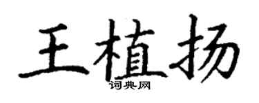 丁謙王植揚楷書個性簽名怎么寫