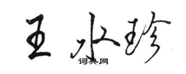 駱恆光王水珍行書個性簽名怎么寫