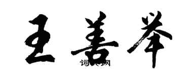 胡問遂王善舉行書個性簽名怎么寫