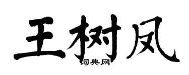 翁闓運王樹鳳楷書個性簽名怎么寫