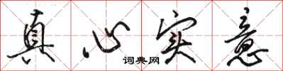 駱恆光真心實意行書怎么寫