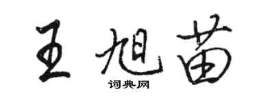 駱恆光王旭苗行書個性簽名怎么寫