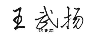 駱恆光王武揚行書個性簽名怎么寫