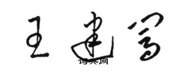 駱恆光王建闖草書個性簽名怎么寫