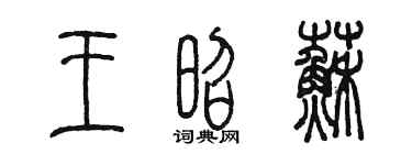 陳墨王昭蘇篆書個性簽名怎么寫