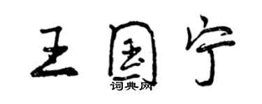 曾慶福王國寧行書個性簽名怎么寫