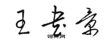 駱恆光王書景草書個性簽名怎么寫