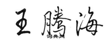 駱恆光王騰海行書個性簽名怎么寫