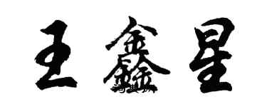 胡問遂王鑫星行書個性簽名怎么寫