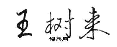 駱恆光王樹來行書個性簽名怎么寫