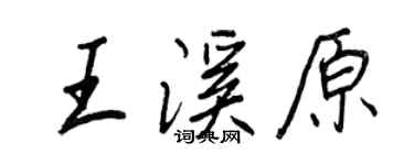 王正良王溪原行書個性簽名怎么寫