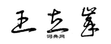 曾慶福王立峰草書個性簽名怎么寫