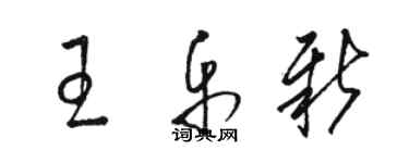 駱恆光王樂新草書個性簽名怎么寫