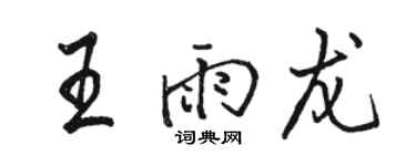 駱恆光王雨龍行書個性簽名怎么寫