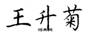 丁謙王升菊楷書個性簽名怎么寫