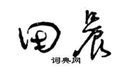 曾慶福田晨草書個性簽名怎么寫