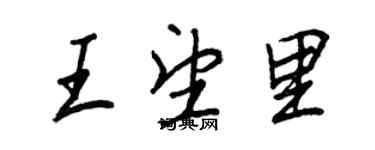 王正良王望里行書個性簽名怎么寫