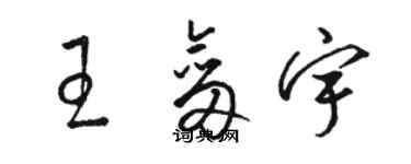 駱恆光王劍宇草書個性簽名怎么寫