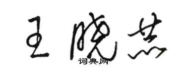 駱恆光王曉赫草書個性簽名怎么寫