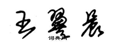 朱錫榮王翼晨草書個性簽名怎么寫