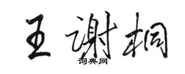 駱恆光王謝桐行書個性簽名怎么寫