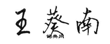 駱恆光王葵南行書個性簽名怎么寫