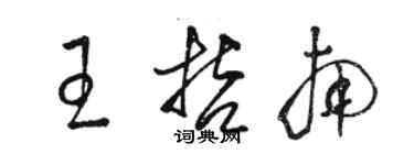 駱恆光王哲南草書個性簽名怎么寫