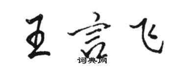 駱恆光王言飛行書個性簽名怎么寫