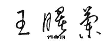 駱恆光王曙蘭草書個性簽名怎么寫