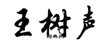胡問遂王樹聲行書個性簽名怎么寫