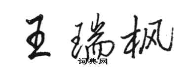 駱恆光王瑞楓行書個性簽名怎么寫