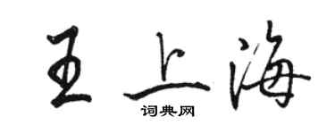 駱恆光王上海行書個性簽名怎么寫