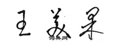 駱恆光王美果草書個性簽名怎么寫