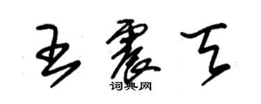 朱錫榮王震天草書個性簽名怎么寫