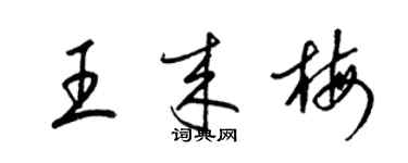 梁錦英王來梅草書個性簽名怎么寫