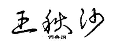 曾慶福王秋沙草書個性簽名怎么寫