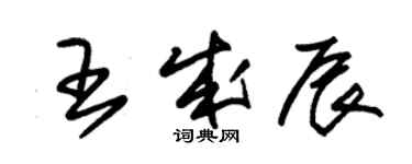 朱錫榮王成辰草書個性簽名怎么寫