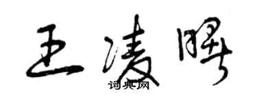 曾慶福王凌曙草書個性簽名怎么寫