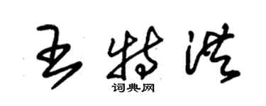 朱錫榮王特洪草書個性簽名怎么寫