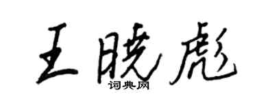 王正良王曉彪行書個性簽名怎么寫