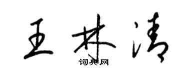 梁錦英王林清草書個性簽名怎么寫